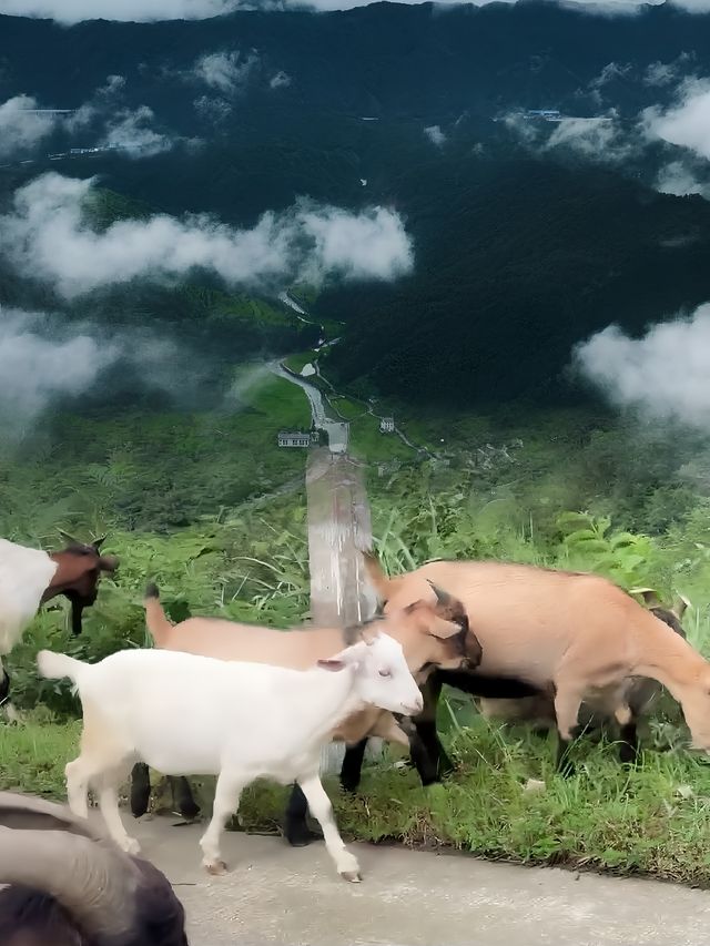 探秘柳州融水，一日苗族风情游全攻略