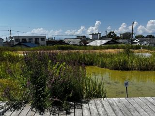 Kyoto Trip - Yanmar Museum