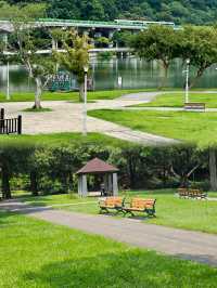 有氧的公園 真的太適合放鬆啦～