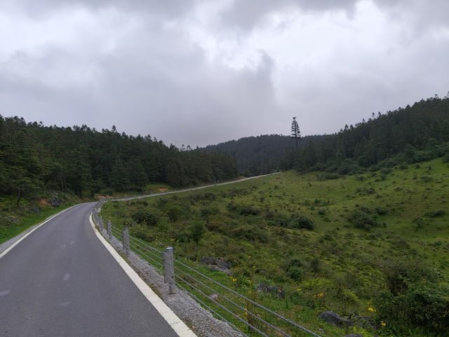 仙女山國家森林公園，仙山畫境......是年青人夢想的地方。