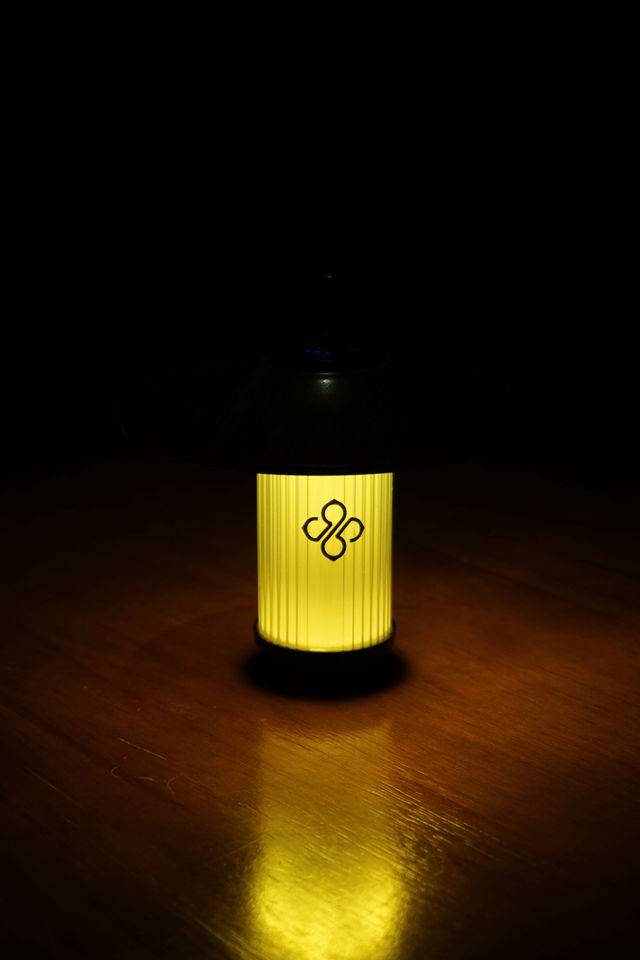 黃玫瑰的故事,未完待續。