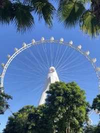 深圳夏日浪漫🎡摩天輪吹海風、看日落