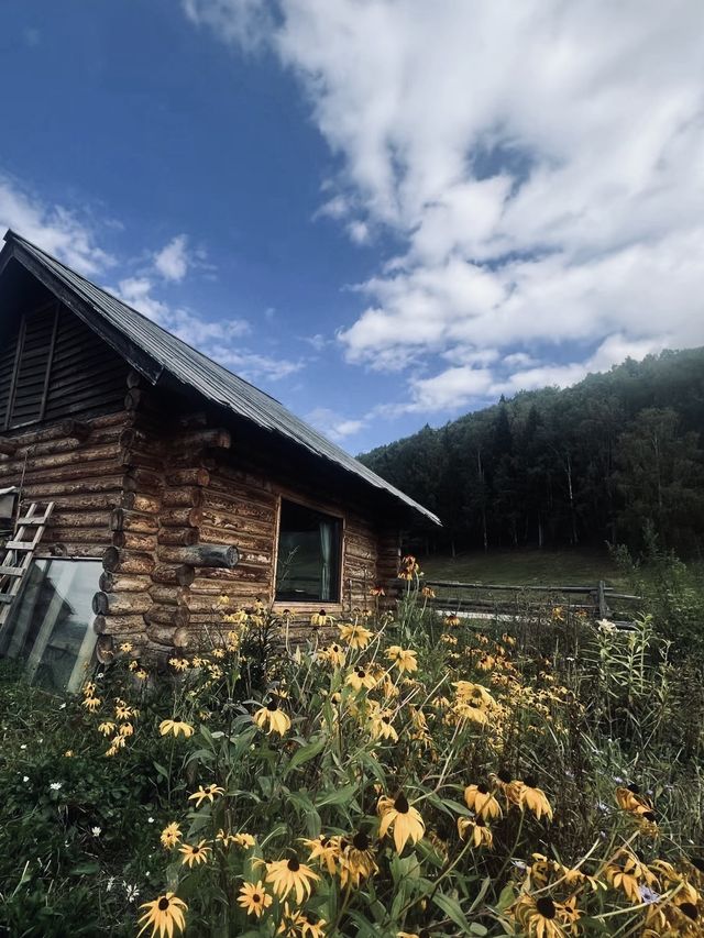 有人話新疆只有夏天好景？呢間民宿嘅秋景真係絕佳。