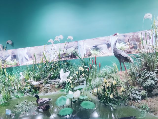 大運河博物館。