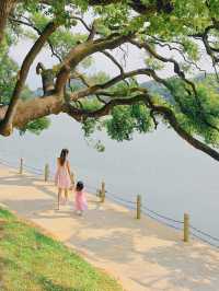 東莞兩天一夜攻略|跟風「小洱海」。
