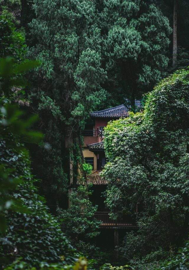 麗水石門洞丨詩情畫意的江南秘境。
