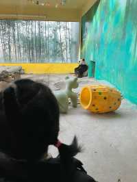 富陽｜看動物、玩樂園、觀演出、坐火車，一票全享。