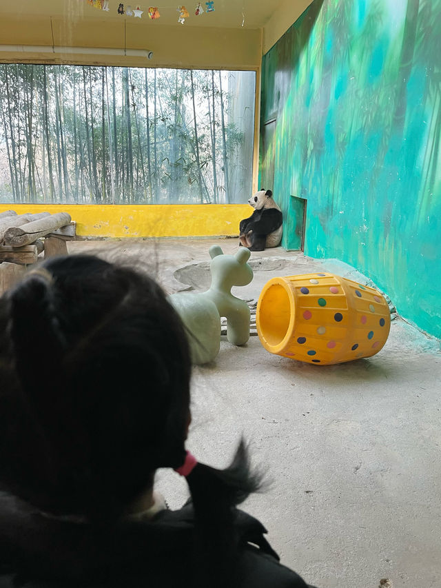 富陽｜看動物、玩樂園、觀演出、坐火車，一票全享。