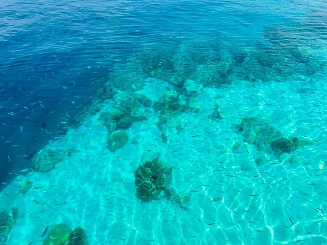 「仙本那夢境之旅：跳島、海景與巴瑤族。