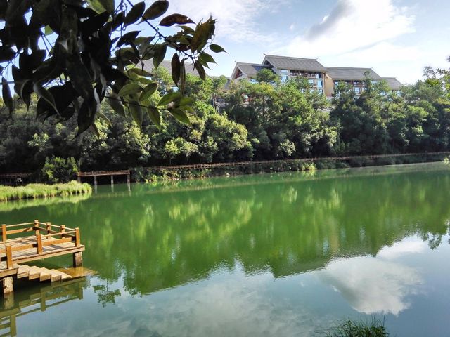 普洱梅子湖 | 人間仙境般的寶藏之地。