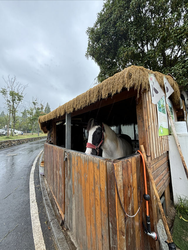 逃離上海丨住進山裡泡湯發呆盪鞦韆。