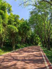 南寧獅山公園｜城市中的綠洲。