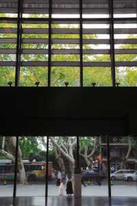 當桂花香充盈著美術館，你知道這種難以言表的感覺嗎？
