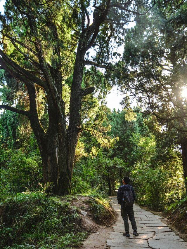 這一面，等待了千年的光景。