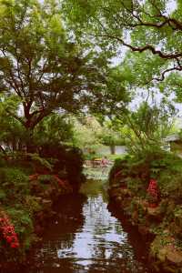 又到了醉白池最美的季節。