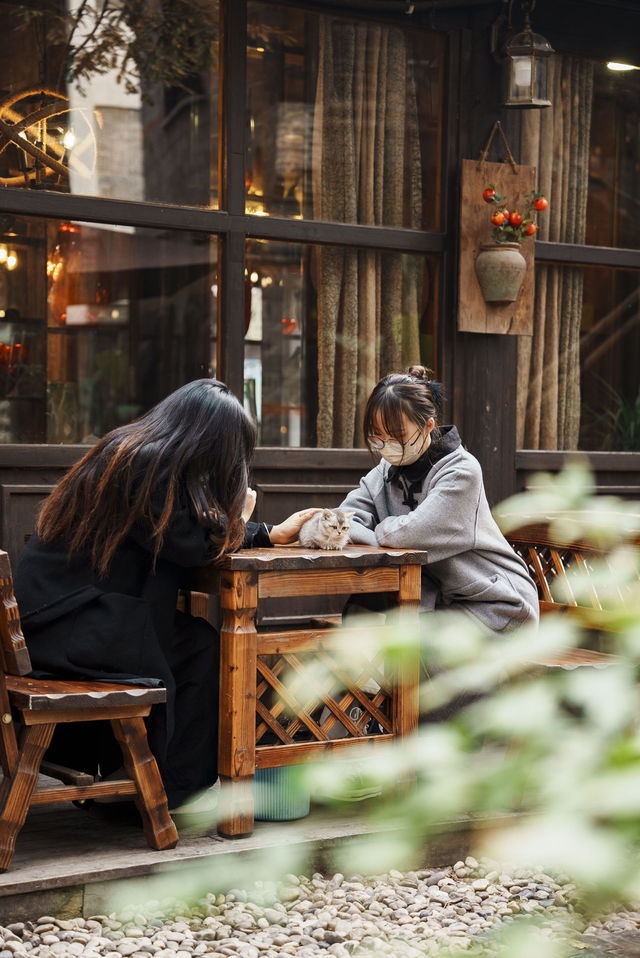 立冬之約 邀你共赴一場冬日的詩意之旅！。
