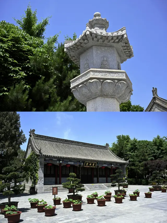 Autumn trip to the Terracotta Warriors and more in Xi'an. Discover the beauty of the city.