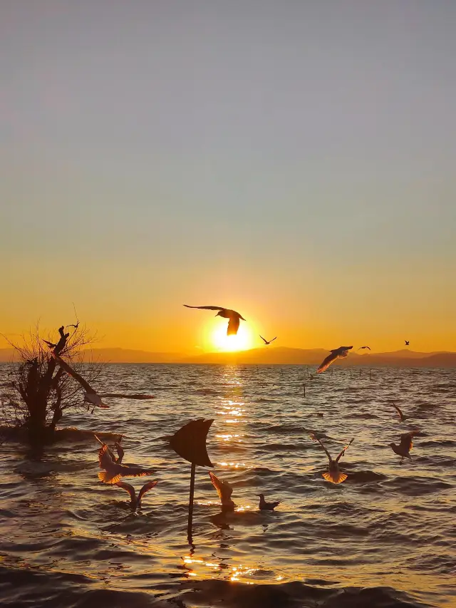 A detailed 2-day itinerary for Kunming, a lazy person's dream.