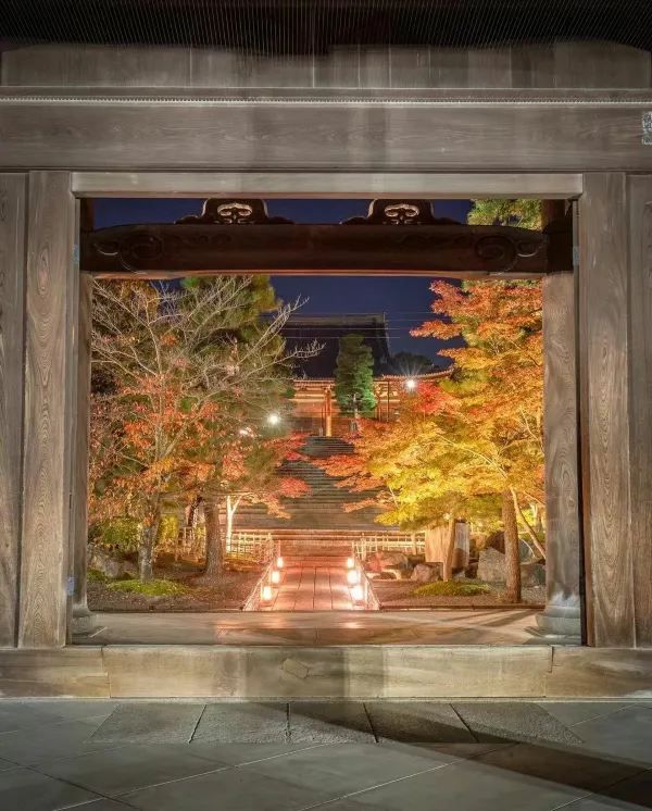 Explore Kyoto's Nighttime Autumn Foliage in 2023