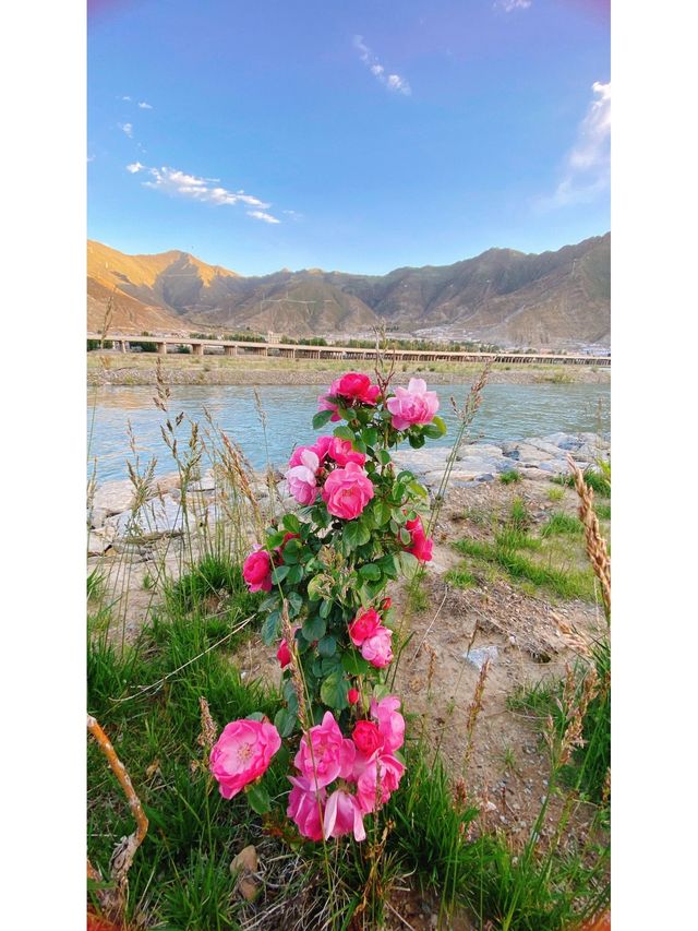 秋日2日遊 庫拉岡日雪山-白馬錯等你來探索。