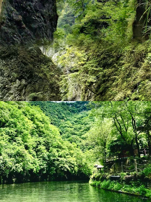 你不知道這裡真的好看水清晰。
