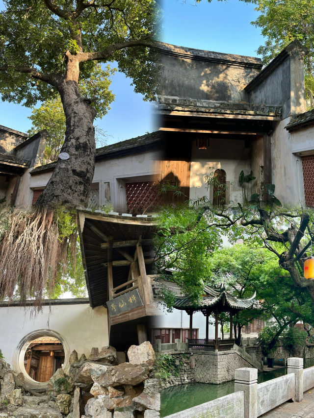 福州這麼美的中式園林怎麼沒人宣傳。