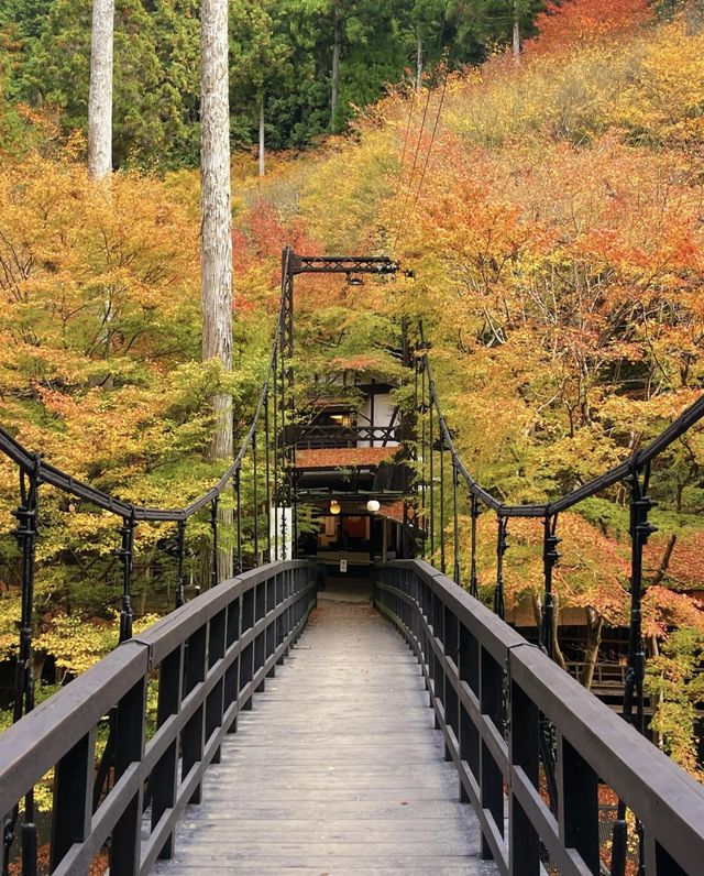11.24京都高雄紅葉吊橋。京都·高雄