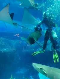 長沙海底世界遊玩攻略。