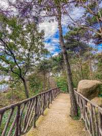 臨沂龜蒙景區一日遊攻略。