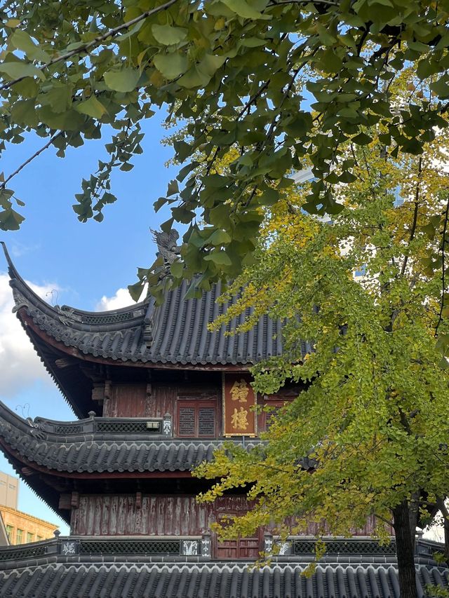 寧波2日遊｜秋天的寧波 美到窒息。
