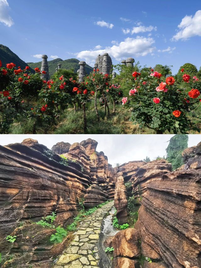 2天玩遍重慶看這篇就夠啦