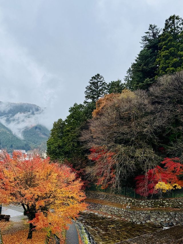 日本著名溫泉—下呂溫泉