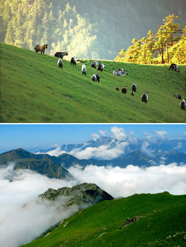 探秘歷史韻味的寶藏小城｜廣元青川旅遊攻略