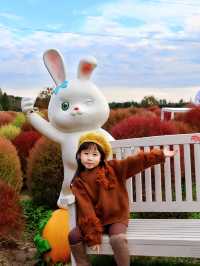 花開海上實拍附親子遊園攻略必收藏！