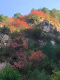 秦嶺峽口紅葉感受大自然的鬼斧神工