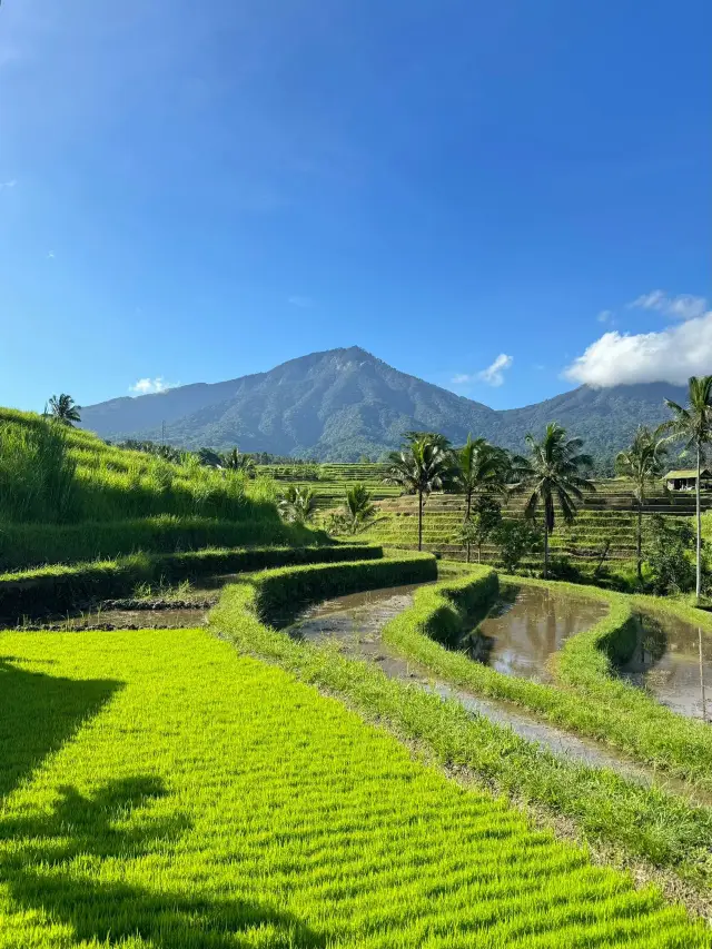 12-Day Jakarta Winter Tour: Comprehensive Guide