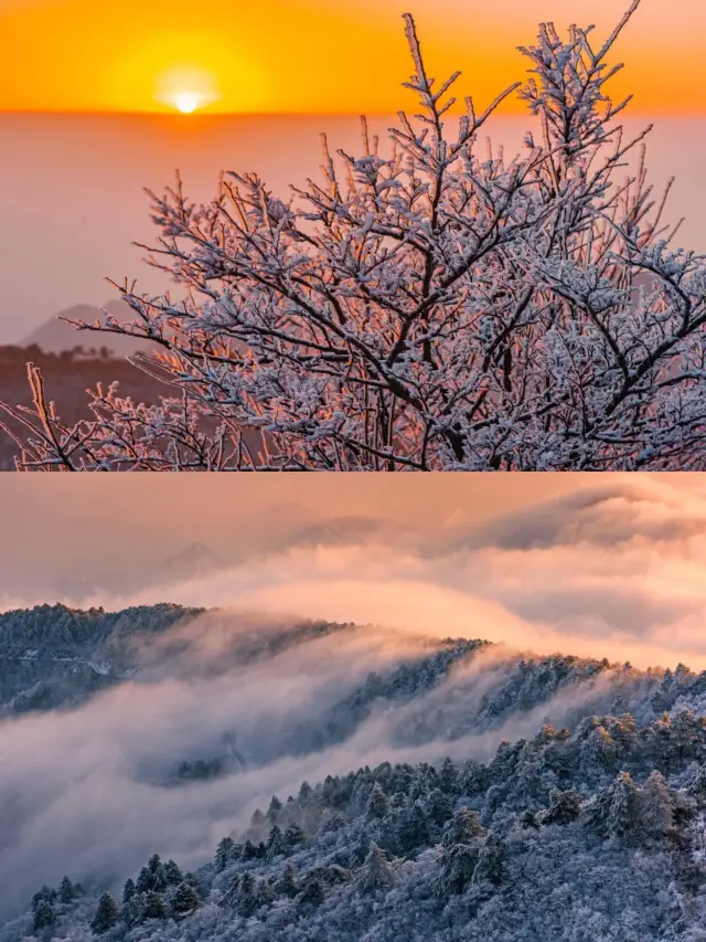 Hiking at Qianniugang: rime, snow, and a sea of clouds