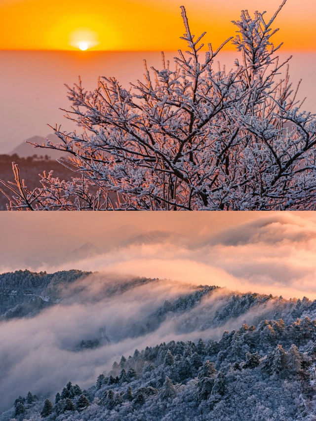 杭州牽牛崗徒步 霧凇 雪 雲海
