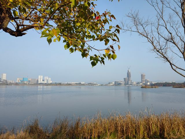 興隆湖，一個屬於成都人民自己的「海」的好地方