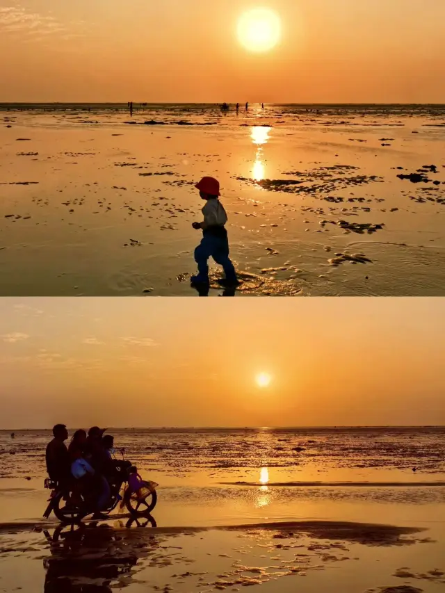 결정했어요! 광둥성 춘절 가족 여행은 이곳으로 가요!