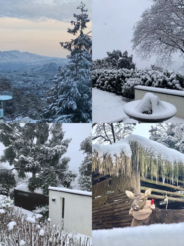 峨眉山小住，泡湯賞雪進行時