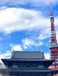 日本保姆級攻略，進來直接抄作業