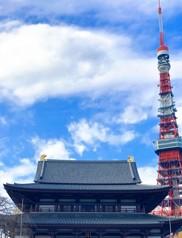 日本保姆級攻略，進來直接抄作業