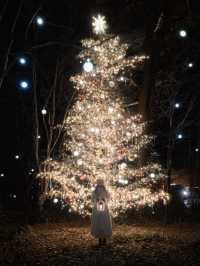 Experience the Magic of Christmas at Karuizawa Kogen Church