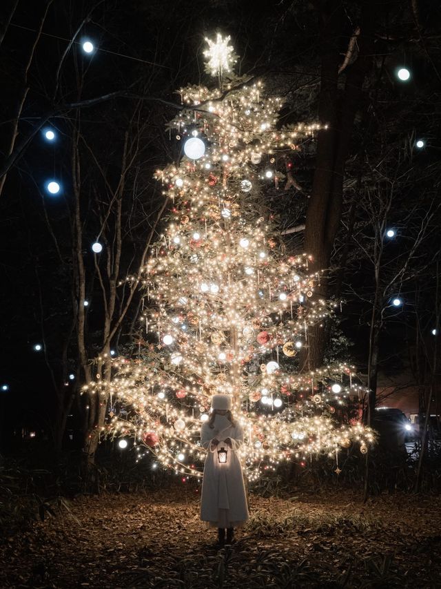 Experience the Magic of Christmas at Karuizawa Kogen Church