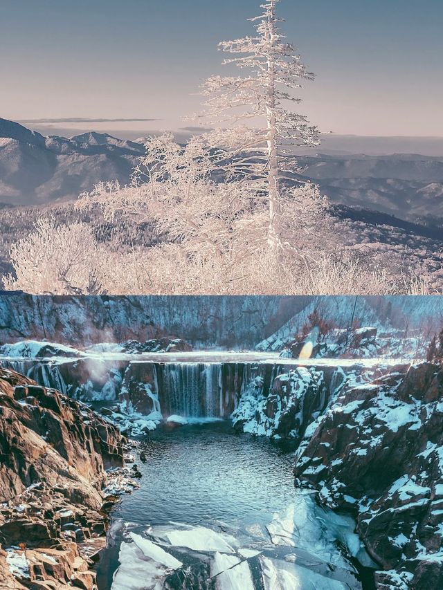 寧古塔苦寒！但冬天是真好玩！東北這個賽季真強得可怕