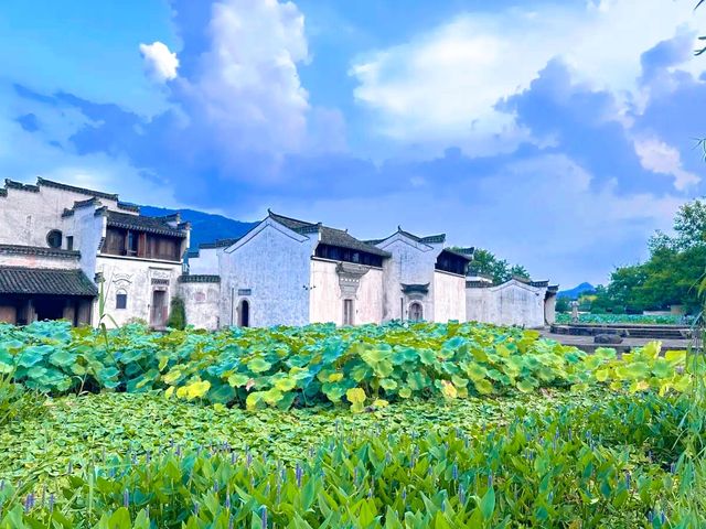 游呈坎，一生無坎