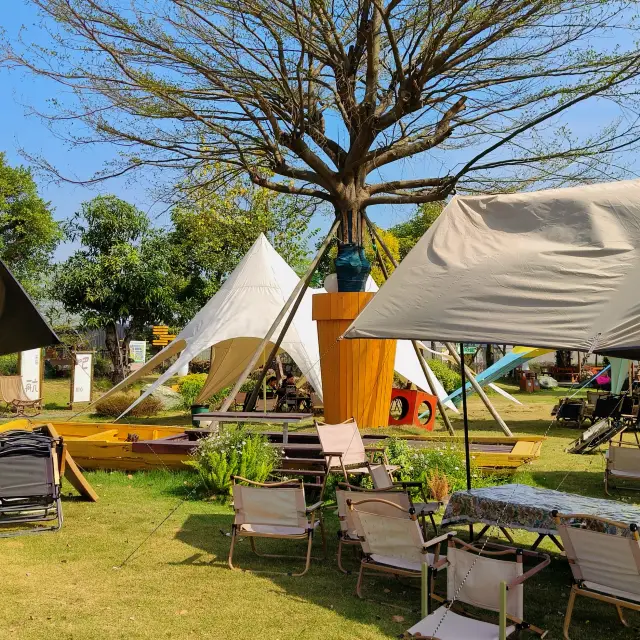 佛山適合帶娃露營免費看小動物的地方