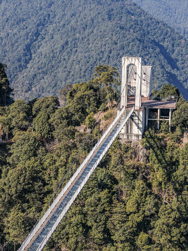 贛州旅行|遊三百山景區，品傳統年味