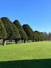 Hampton Court Palace New Year Ticket Offer: 50% Off!